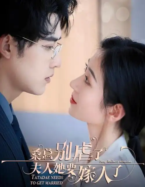 离婚后我成了顶流 娱乐圈短剧